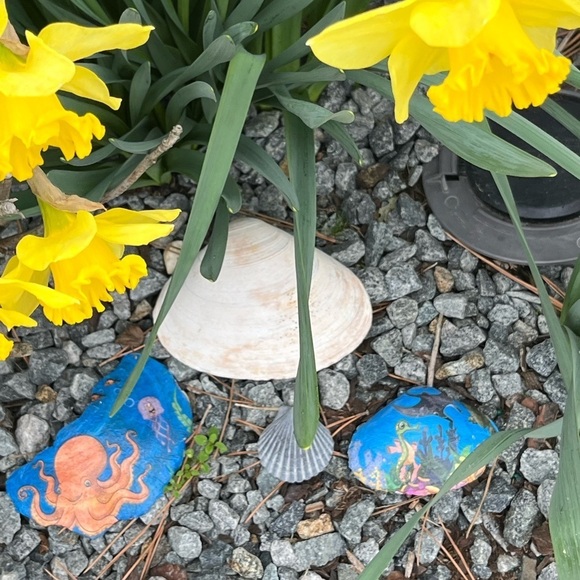 Hand Painted Beach Scene Shell - Picture 10 of 10